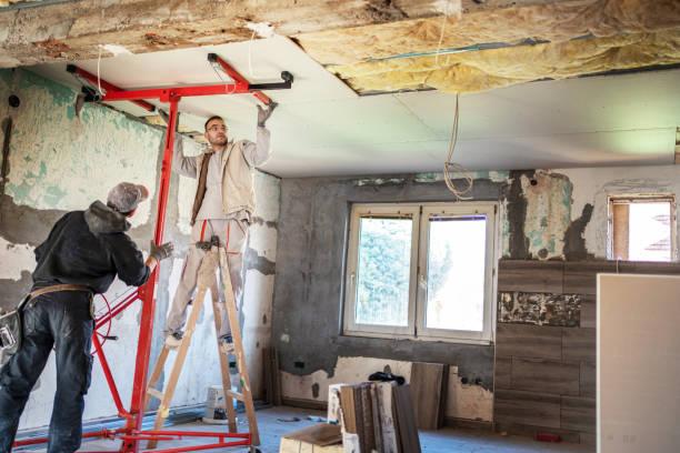 Best Insulation Contractor Near Me  in Honeoye Falls, NY
